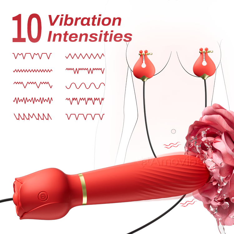 Clitoral Vibrator with Nipple Clamps